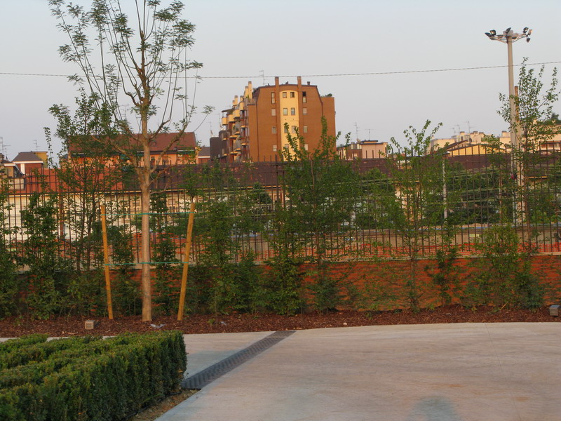 Il giardino di Marco Bay al nuovo Hangar Bicocca (pubblicato su VerDiSegni informa N. 2, 2010)