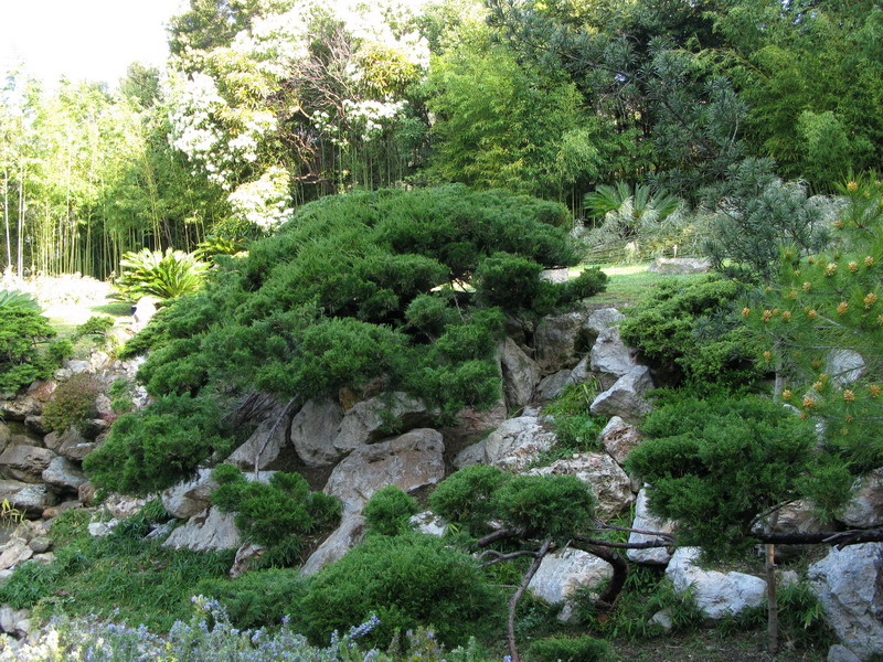 Come costruire un piccolo giardino giapponese » Giardini in viaggio