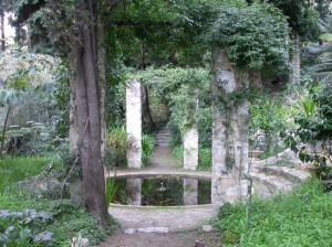 Giardini d'inverno in riviera, di Federica Raggio