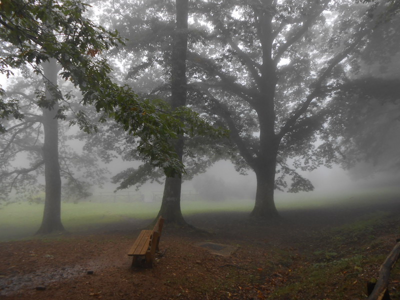 Immagini nella nebbiolina autunnale dall'Altopiano delle Pizzorne foto di Flavia De Petri