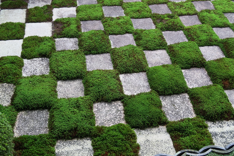 Giappone Dagli Antichi Giardini Zen Alla Moderna Reinterpretazione Di Mirei Shigemori Giardini In Viaggio