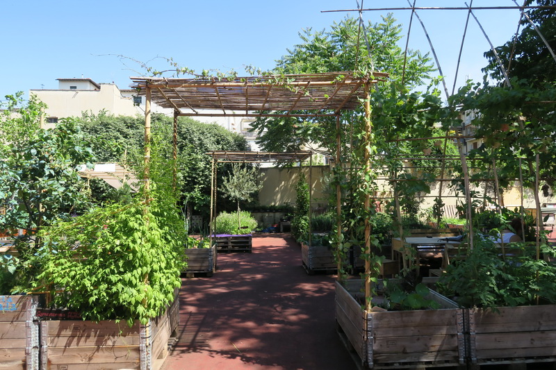 Orti dipinti: un community garden a Firenze