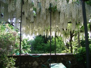 Il giardino di Francesco Borella: un luogo prezioso da custodire