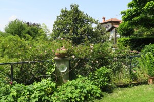 Fioriture a Laveno nel mio giardino