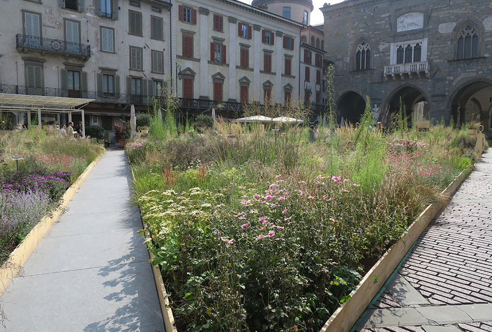 Maestri di paesaggio 2018: la piazza disegnata da Piet Oudolf a Bergamo alta