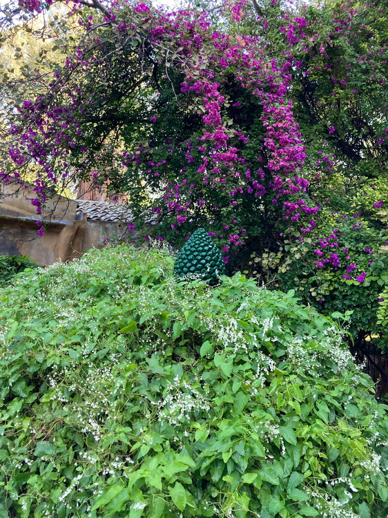 Un giardino di ospitalità: Etna botanic garden