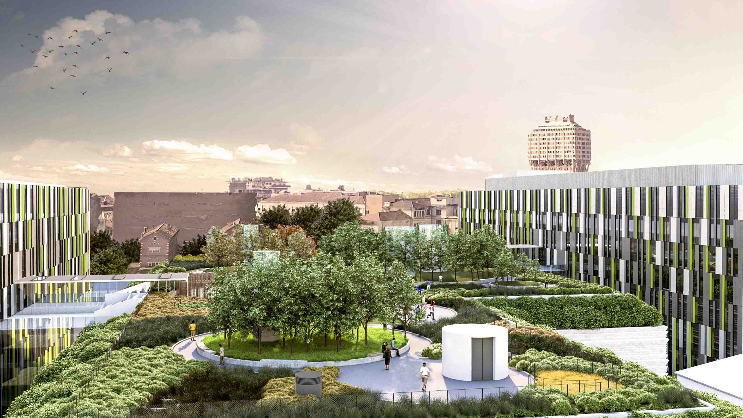 Un giardino pensile nel futuro nuovo Policlinico di Milano