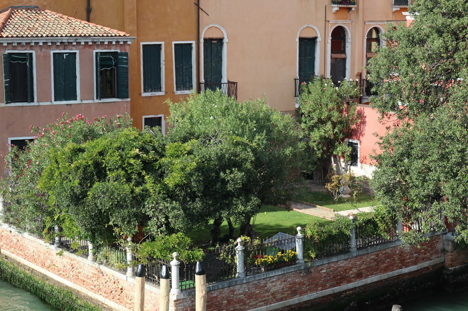 Venezia: mostre e immagini dalla città