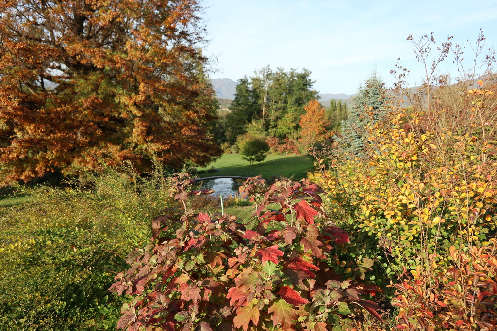 Un parco giardino che splende in autunno
