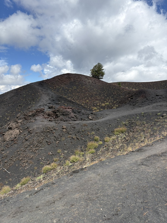 Sicilia passeggiate naturalistiche: ritorno sull'Etna, un castagno monumentale e una riserva ornitologica 3