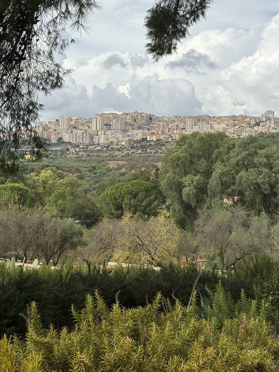 Sicilia: Valle dei Templi e Kolymbethra. 2